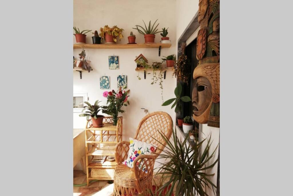Bamboo House Aljezur Daire Dış mekan fotoğraf